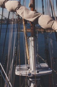 View from the main mast top. Photo- R.D. Wilkins