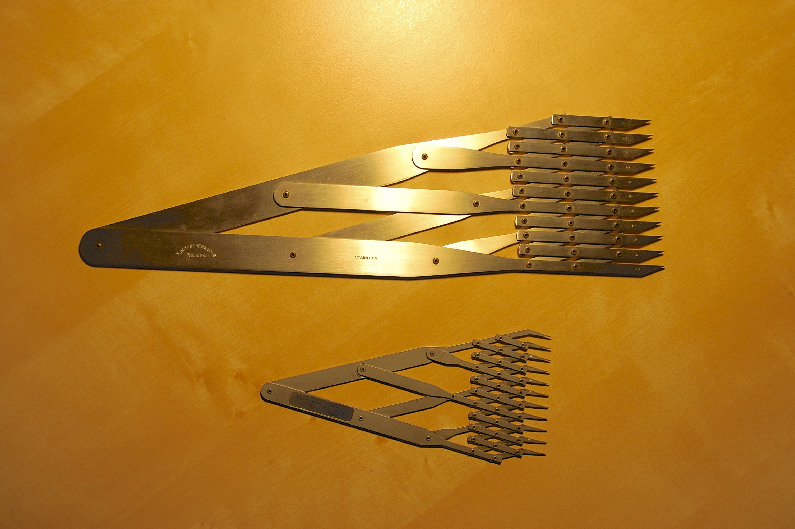 Equal space divider come in two sizes: 6" and 12"