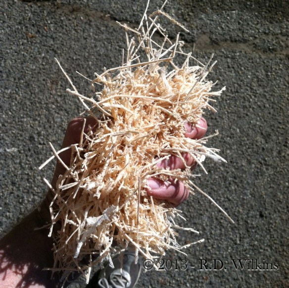 power planer shavings